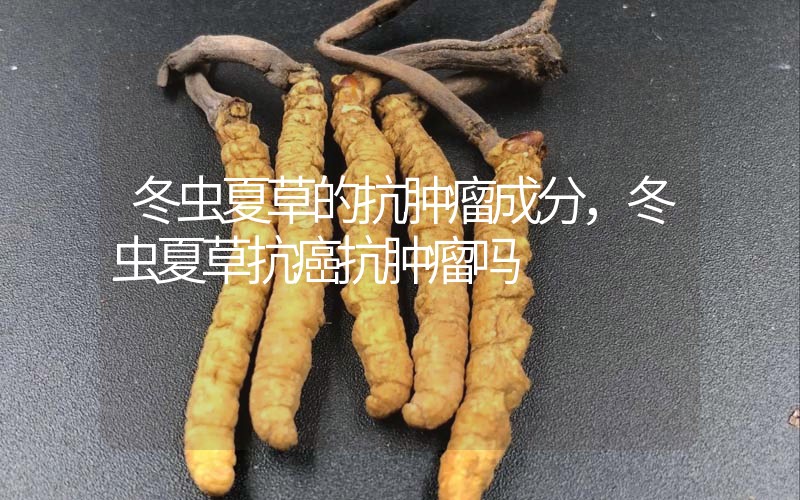 冬蟲夏草的抗腫瘤成分，冬蟲夏草抗癌抗腫瘤嗎？